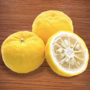 citron yuzu